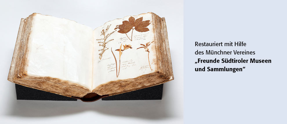herbarium, restauriert mit der Hilfe des Münchner Vereins "Freunde Südtiroler Museen und Sammlungen"